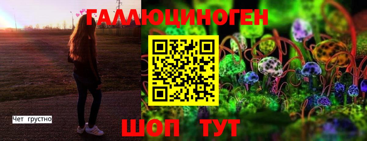 Псилоцибиновые грибы GOLDEN TEACHER  Псилоцибиновые грибы мицелий  Вход с VPN  Санкт-Петербург 