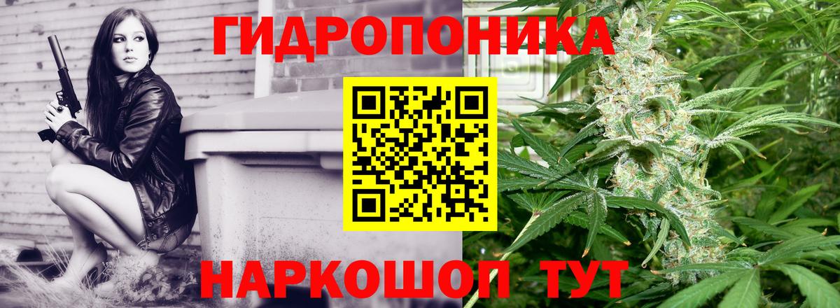 Бошки Шишки гибрид Санкт-Петербург
